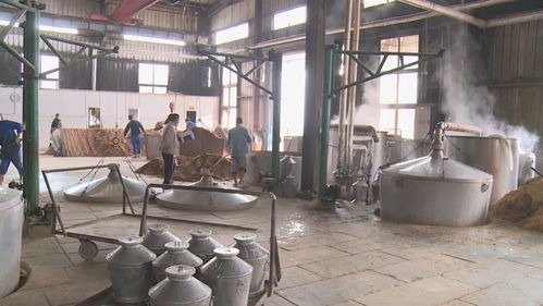 李丹 用数据为企业筑牢防风险屏障