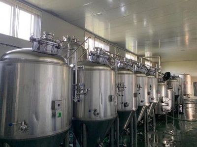 阿里金·牛樟芝"美女啤酒"开启精酿啤酒的新革命热潮