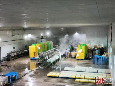 一亩泉酒·致敬名企 走进“臧师傅”石磨坊豆制品