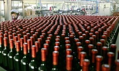 河北昌黎打造“中国葡萄酒城”