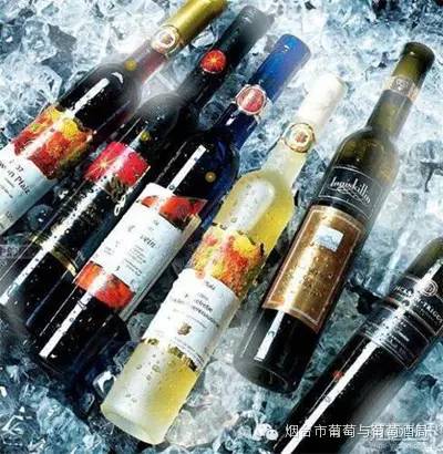 为什么酒不可杂饮