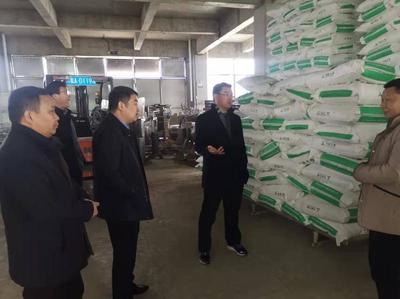 宋立敏赴潘集经济开发区开展“新春访万企 助力解难题”活动