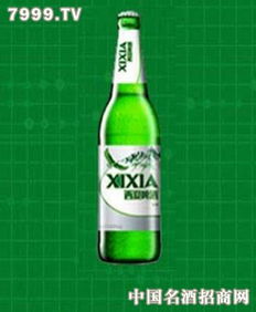 西夏冰爽 西夏嘉酿啤酒