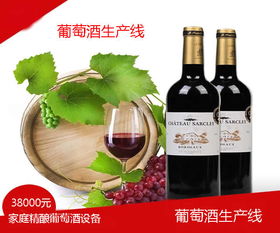 葡萄酒生产线 自酿葡萄酒设备